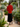 Stand Collar Front Buttons with Borders Tunics