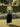 Sangeneri Shirt Collar with Hakoba Yoke Tunic