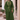 Olive Heirloom Drape Set - Fasheen
