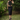 Female wearing a Black Solid Color Western Halterneck Neckline Top