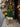Female wearing a Green Solid Color   A-Line Style Round Neckline Cotton Slub Dress