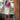 Female wearing a Purple Solid Color Western V-Neck Neckline Top