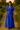 Female wearing a Blue Solid Color A-Line V-Neck Neckline Chelsea Collar Dress