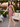 Female wearing a Baby Pink Solid Color Bodycan Asymmetric Neckline Dress