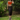 Female wearing a Orange Solid Color Western V-Neck Neckline Top