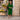 Female wearing a Green Solid Color   A-Line Style Notched Neckline Cotton Slub Kurta