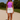 Female wearing a Purple Solid Color Western Asymmetric Neckline Top