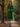 Female wearing a Green Solid Color   A-Line Style Tucked Neckline Cotton Slub Dress