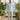Sky Blue Linen Shirt and Beige Trousers Set