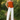 Female wearing a Orange Solid Color Western Strapless Neckline Top