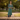 Female wearing a Green Solid Color   Kurta Style V-Neckline Neckline Cotton Slub Shirt